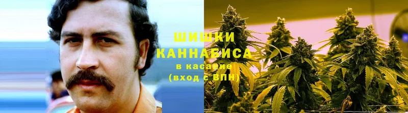 Марихуана LSD WEED  Алейск 